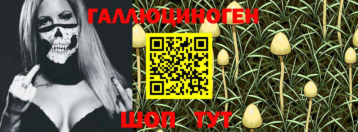 Псилоцибиновые грибы мухоморы  Артём  Галлюциногенные грибы Psilocybine cubensis 