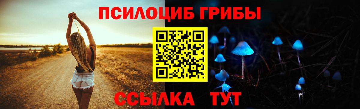 Артём  наркошоп  Вход с VPN  Галлюциногенные грибы MAGIC MUSHROOMS 